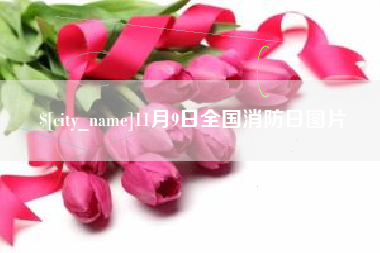 沂源11月9日全国消防日图片