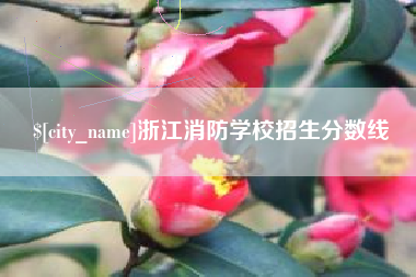 沂源浙江消防学校招生分数线