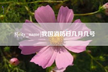 沂源我国消防日几月几号