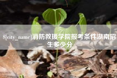 沂源消防救援学院报考条件湖南招生多少分