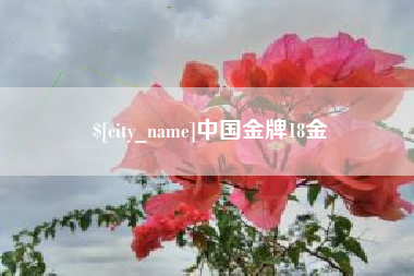 沂源中国金牌18金