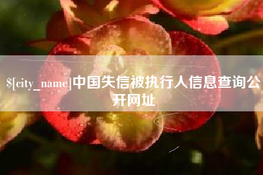 沂源中国失信被执行人信息查询公开网址