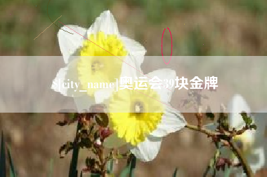 沂源奥运会39块金牌