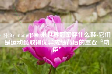 沂源5000米世界冠军穿什么鞋-它们是运动员取得优异成绩背后的重要“功臣”