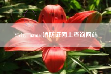 沂源消防证网上查询网站