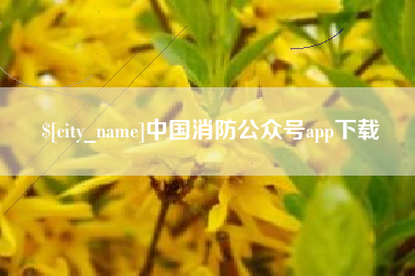 沂源中国消防公众号app下载