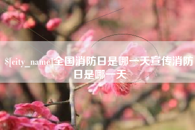 沂源全国消防日是哪一天宣传消防日是哪一天