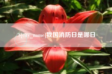 沂源我国消防日是哪日