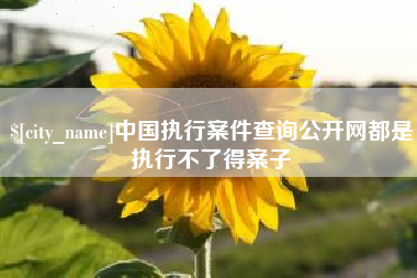 沂源中国执行案件查询公开网都是执行不了得案子