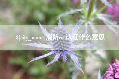 沂源消防ccc认证什么意思