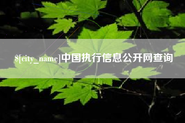 沂源中国执行信息公开网查询