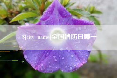 沂源全国消防日哪一
