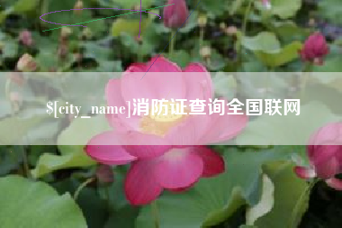 沂源消防证查询全国联网