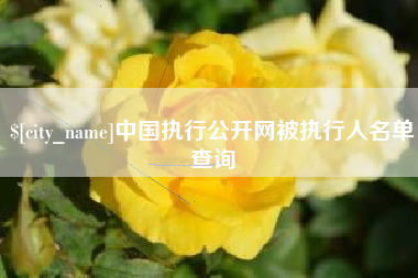 沂源中国执行公开网被执行人名单查询