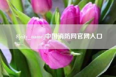 沂源中国消防网官网入口