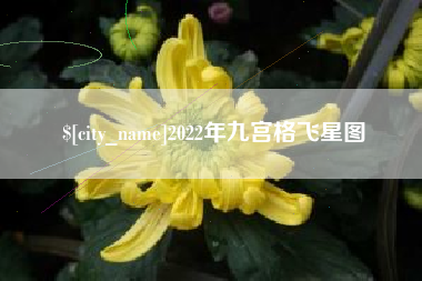 沂源2022年九宫格飞星图