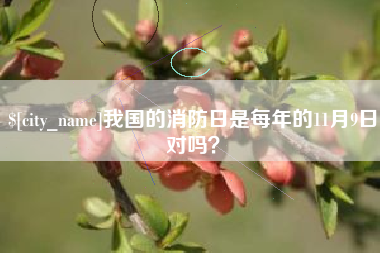 沂源我国的消防日是每年的11月9日对吗？