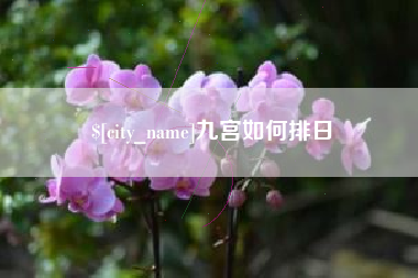 沂源九宫如何排日