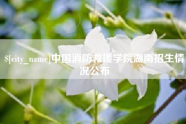 沂源中国消防救援学院湖南招生情况公布