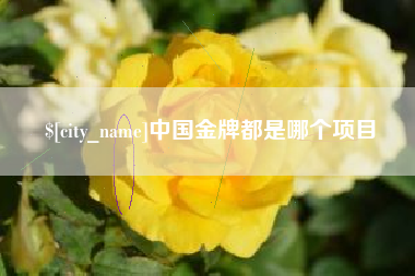 沂源中国金牌都是哪个项目