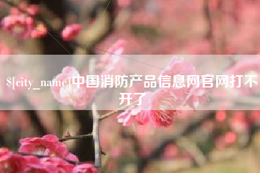 沂源中国消防产品信息网官网打不开了