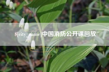 沂源中国消防公开课回放
