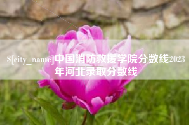 沂源中国消防救援学院分数线2023年河北录取分数线