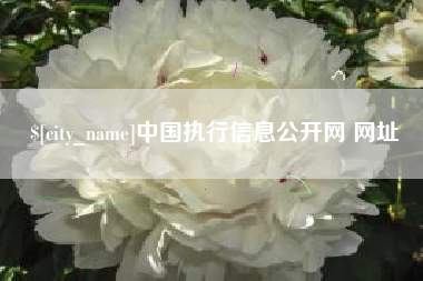 沂源中国执行信息公开网 网址