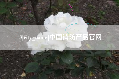 沂源中国消防产品官网
