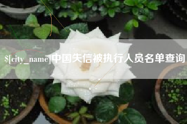 沂源中国失信被执行人员名单查询