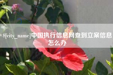 沂源中国执行信息网查到立案信息怎么办