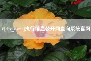 沂源执行信息公开网查询系统官网