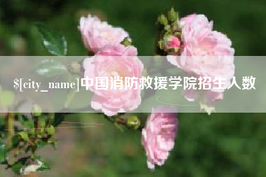 沂源中国消防救援学院招生人数