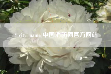 沂源中国消防网官方网站
