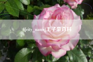 沂源王子豪百科