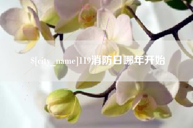 沂源119消防日哪年开始