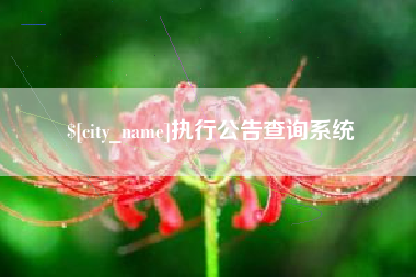 沂源执行公告查询系统