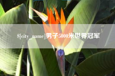 沂源男子5000米世界冠军