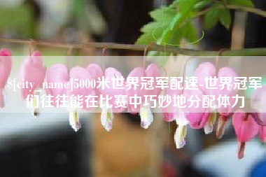沂源5000米世界冠军配速-世界冠军们往往能在比赛中巧妙地分配体力