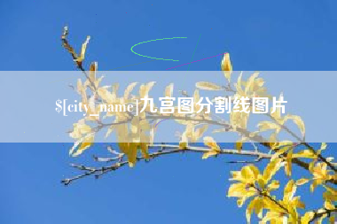 沂源九宫图分割线图片