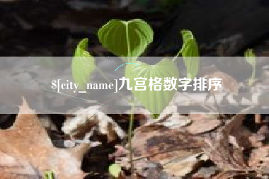 沂源九宫格数字排序