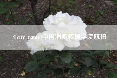 沂源中国消防救援学院航拍