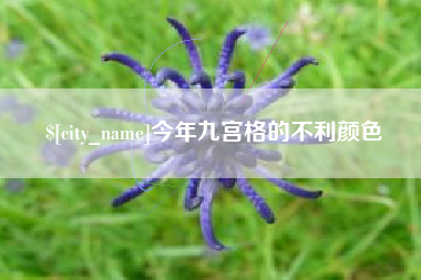 沂源今年九宫格的不利颜色