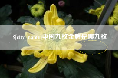 沂源中国九枚金牌是哪九枚