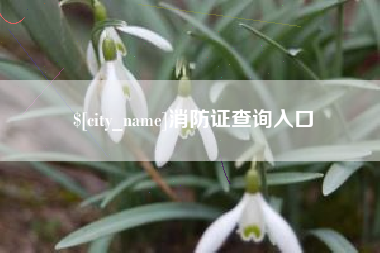 沂源消防证查询入口