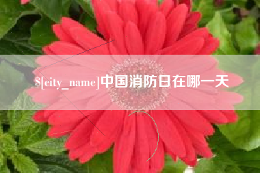 沂源中国消防日在哪一天