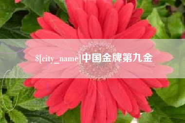 沂源中国金牌第九金