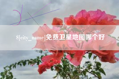 沂源免费卫星地图哪个好