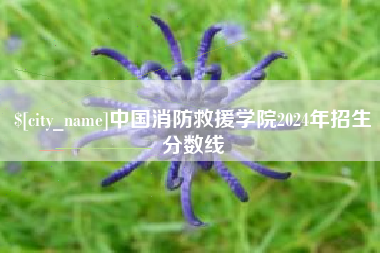 沂源中国消防救援学院2024年招生分数线