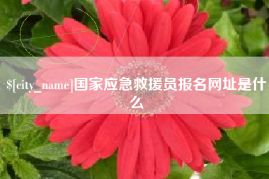 沂源国家应急救援员报名网址是什么